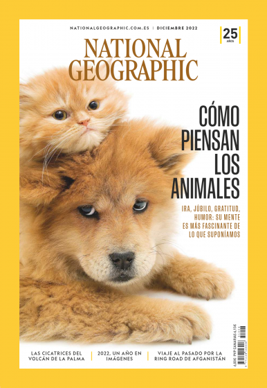 Imagen de apoyo de  National Geographic España - 24/11/22
