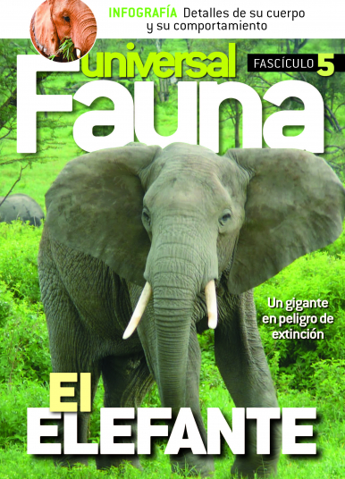 Imagen de apoyo de  Fauna Universal - 17/03/21