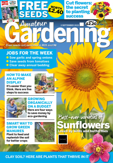 Imagen de apoyo de  Amateur Gardening - 29/08/23