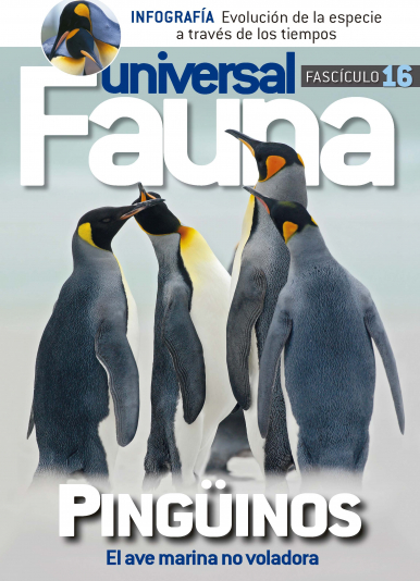Imagen de apoyo de  Fauna Universal - 30/12/20
