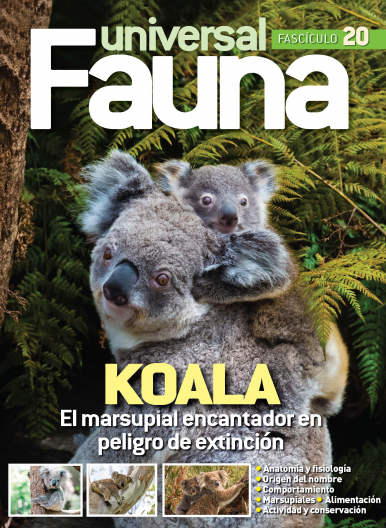 Imagen de apoyo de  Fauna Universal - 14/02/23