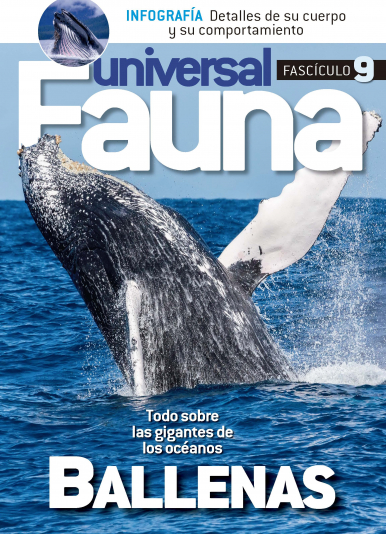 Imagen de apoyo de  Fauna Universal - 17/02/21