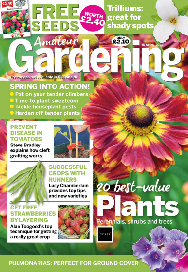 Imagen de apoyo de  Amateur Gardening - 11/04/23